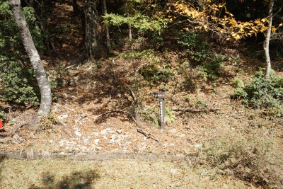 剣山スーパー林道